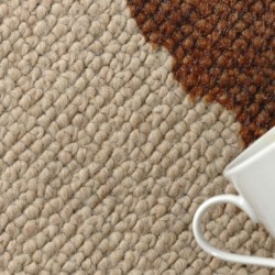 reiniging-top-e1424958062918-250x250